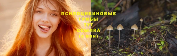 дурь Лиски