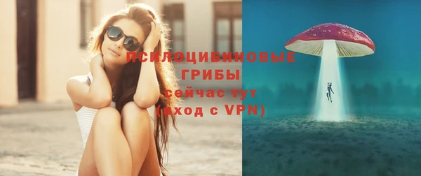 скорость Липки