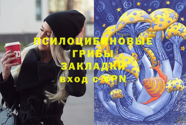 дурь Лиски