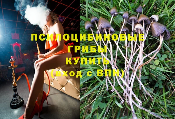 скорость Липки