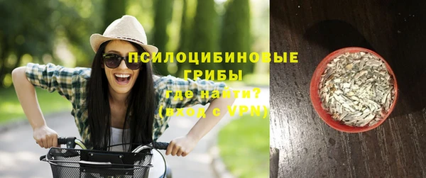 дурь Лиски