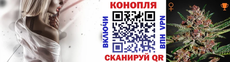 Канабис планчик  Болохово 